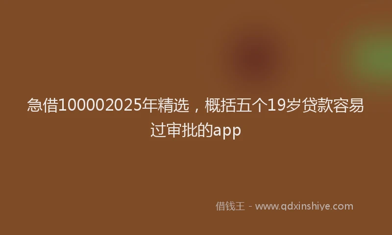 急借100002025年精选，概括五个19岁贷款容易过审批的app