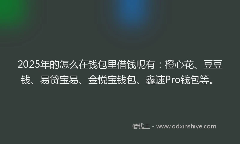 2025年的怎么在钱包里借钱呢有：橙心花、豆豆钱、易贷宝易、金悦宝钱包、鑫速Pro钱包等。