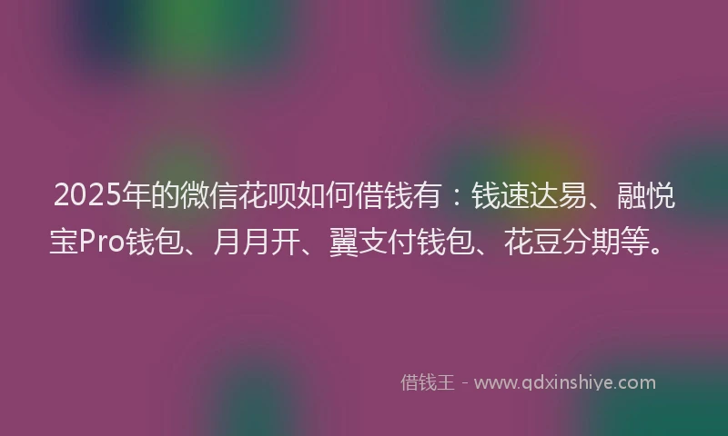 2025年的微信花呗如何借钱有：钱速达易、融悦宝Pro钱包、月月开、翼支付钱包、花豆分期等。