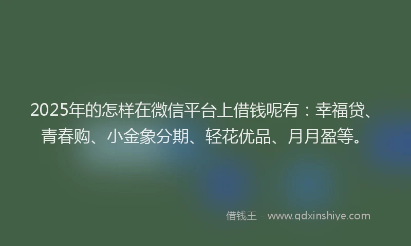 2025年的怎样在微信平台上借钱呢有：幸福贷、青春购、小金象分期、轻花优品、月月盈等。
