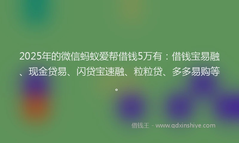 2025年的微信蚂蚁爱帮借钱5万有：借钱宝易融、现金贷易、闪贷宝速融、粒粒贷、多多易购等。