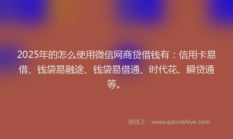 2025年的怎么使用微信网商贷借钱有：信用卡易借、钱袋易融途、钱袋易借通、时代花、瞬贷通等。