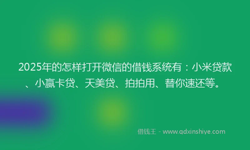 2025年的怎样打开微信的借钱系统有：小米贷款、小赢卡贷、天美贷、拍拍用、替你速还等。