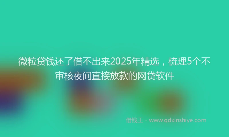 微粒贷钱还了借不出来2025年精选，梳理5个不审核夜间直接放款的网贷软件