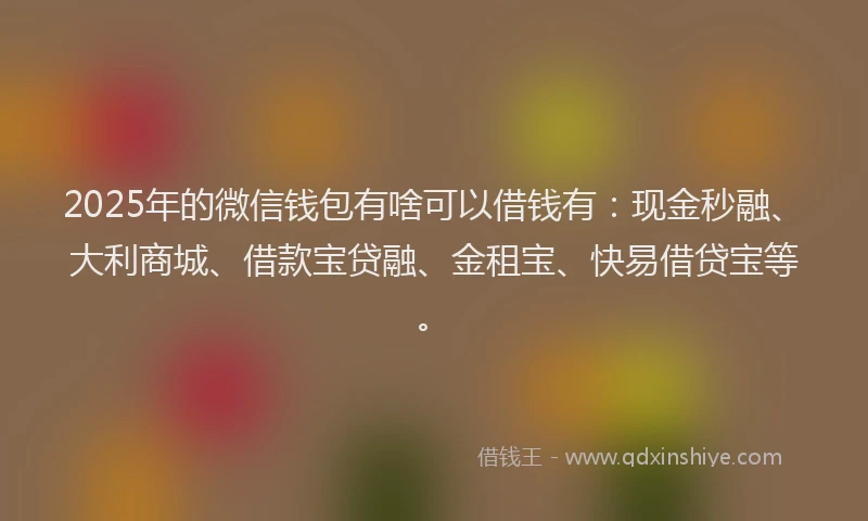 2025年的微信钱包有啥可以借钱有：现金秒融、大利商城、借款宝贷融、金租宝、快易借贷宝等。