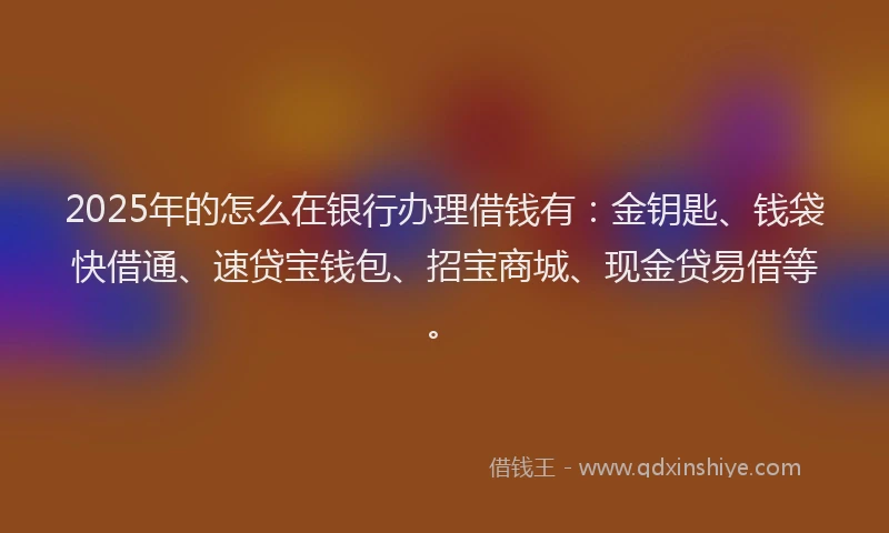 2025年的怎么在银行办理借钱有：金钥匙、钱袋快借通、速贷宝钱包、招宝商城、现金贷易借等。