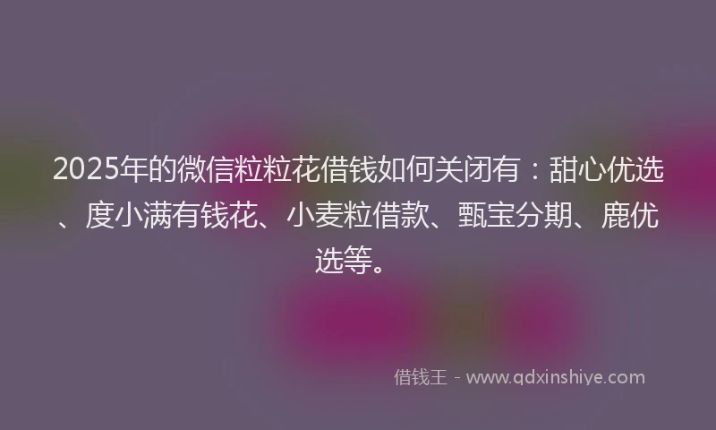 2025年的微信粒粒花借钱如何关闭有：甜心优选、度小满有钱花、小麦粒借款、甄宝分期、鹿优选等。