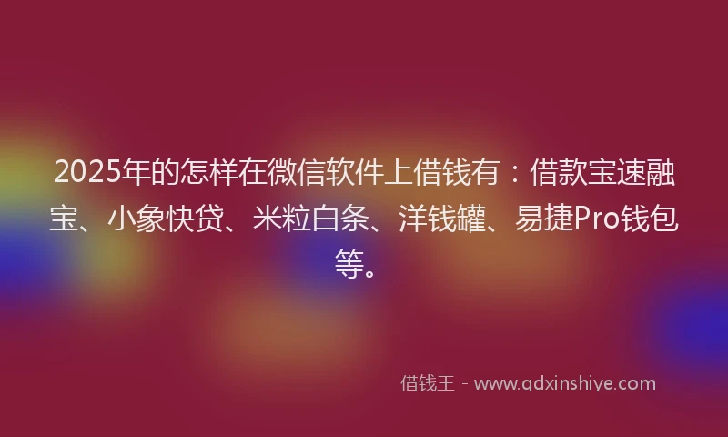 2025年的怎样在微信软件上借钱有：借款宝速融宝、小象快贷、米粒白条、洋钱罐、易捷Pro钱包等。