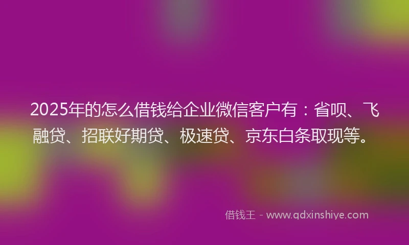 2025年的怎么借钱给企业微信客户有：省呗、飞融贷、招联好期贷、极速贷、京东白条取现等。