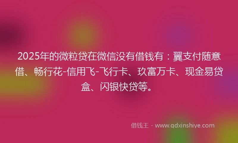 2025年的微粒贷在微信没有借钱有：翼支付随意借、畅行花-信用飞-飞行卡、玖富万卡、现金易贷盒、闪银快贷等。