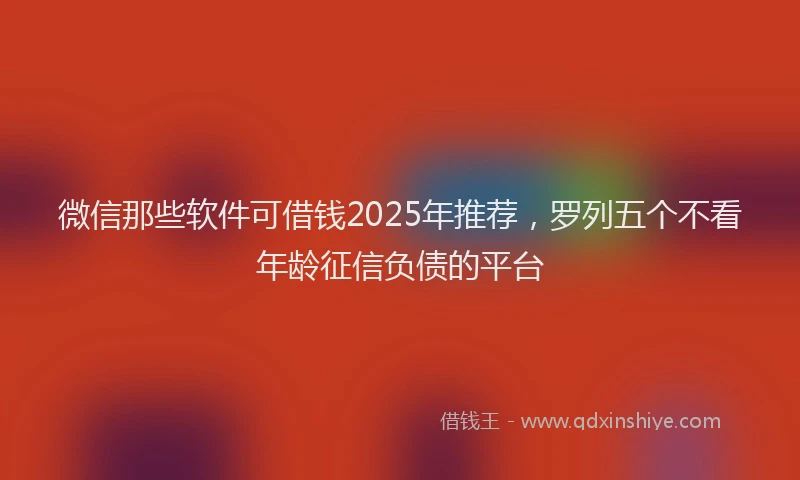 微信那些软件可借钱2025年推荐，罗列五个不看年龄征信负债的平台