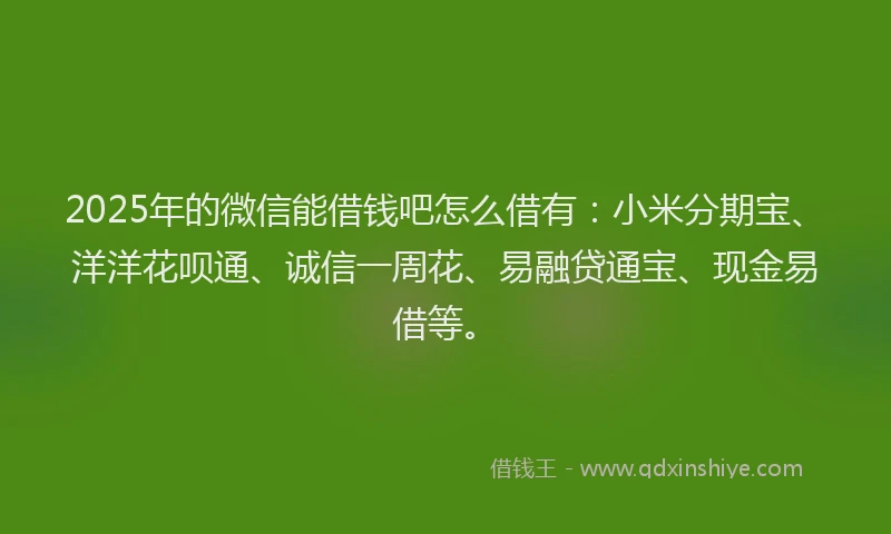 2025年的微信能借钱吧怎么借有：小米分期宝、洋洋花呗通、诚信一周花、易融贷通宝、现金易借等。
