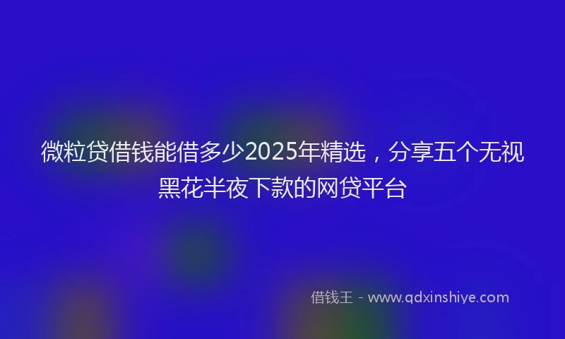 微粒贷借钱能借多少2025年精选，分享五个无视黑花半夜下款的网贷平台