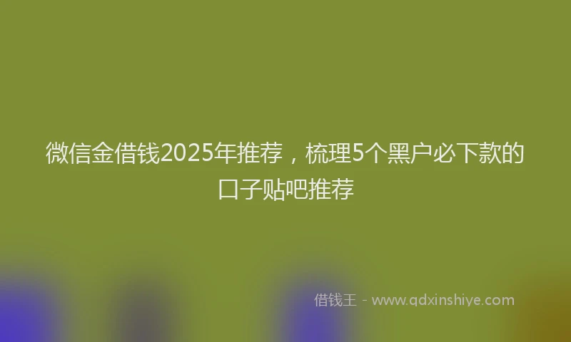 微信金借钱2025年推荐，梳理5个黑户必下款的口子贴吧推荐