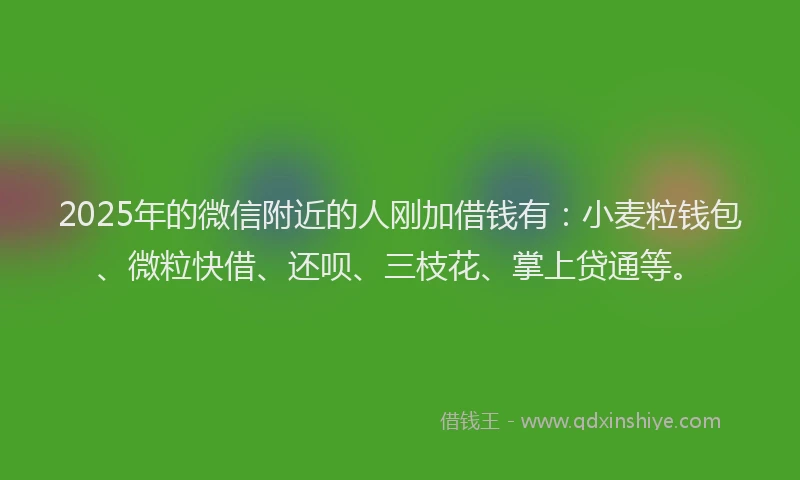 2025年的微信附近的人刚加借钱有：小麦粒钱包、微粒快借、还呗、三枝花、掌上贷通等。