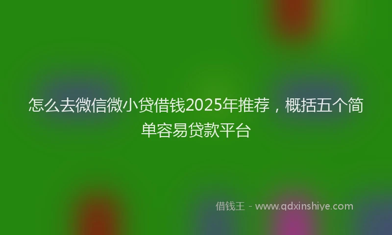 怎么去微信微小贷借钱2025年推荐，概括五个简单容易贷款平台