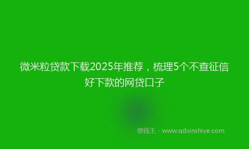 微米粒贷款下载2025年推荐，梳理5个不查征信好下款的网贷口子