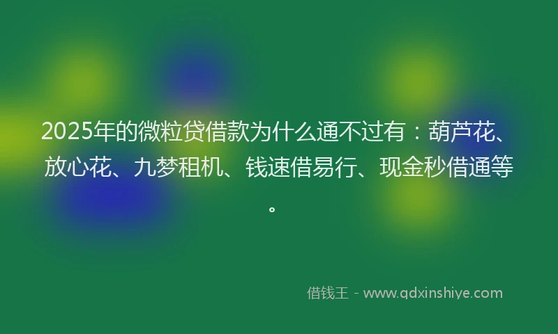 2025年的微粒贷借款为什么通不过有：葫芦花、放心花、九梦租机、钱速借易行、现金秒借通等。