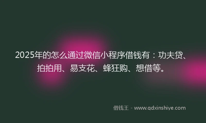 2025年的怎么通过微信小程序借钱有：功夫贷、拍拍用、易支花、蜂狂购、想借等。