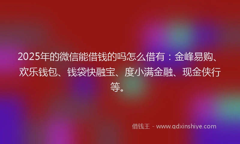 2025年的微信能借钱的吗怎么借有：金峰易购、欢乐钱包、钱袋快融宝、度小满金融、现金侠行等。