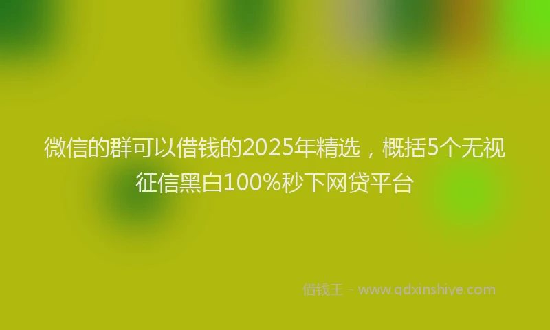 微信的群可以借钱的2025年精选，概括5个无视征信黑白100%秒下网贷平台