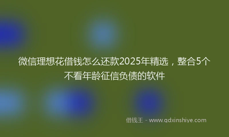 微信理想花借钱怎么还款2025年精选，整合5个不看年龄征信负债的软件