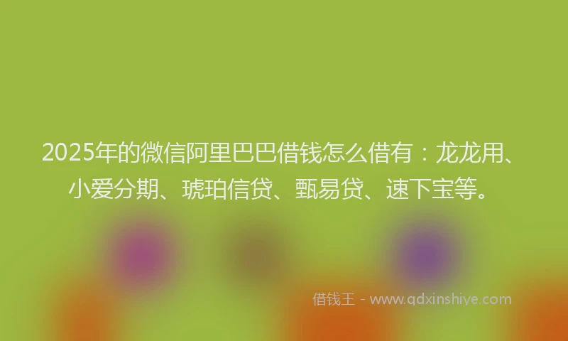 2025年的微信阿里巴巴借钱怎么借有：龙龙用、小爱分期、琥珀信贷、甄易贷、速下宝等。
