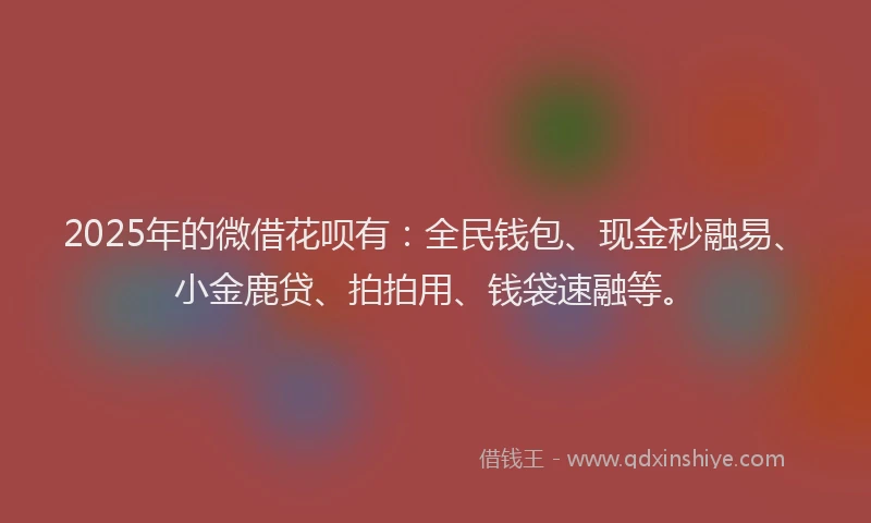 2025年的微借花呗有：全民钱包、现金秒融易、小金鹿贷、拍拍用、钱袋速融等。