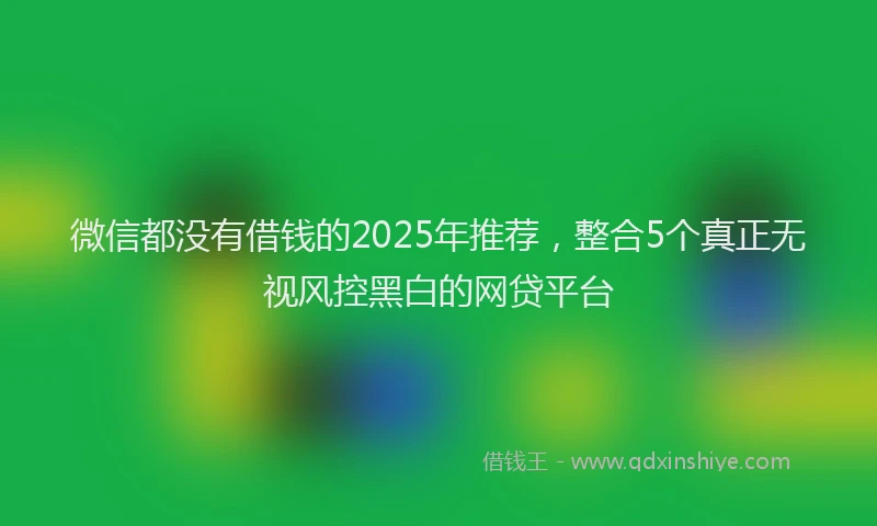 微信都没有借钱的2025年推荐，整合5个真正无视风控黑白的网贷平台
