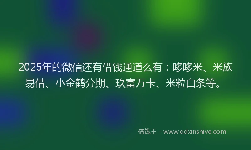 2025年的微信还有借钱通道么有：哆哆米、米族易借、小金鹤分期、玖富万卡、米粒白条等。