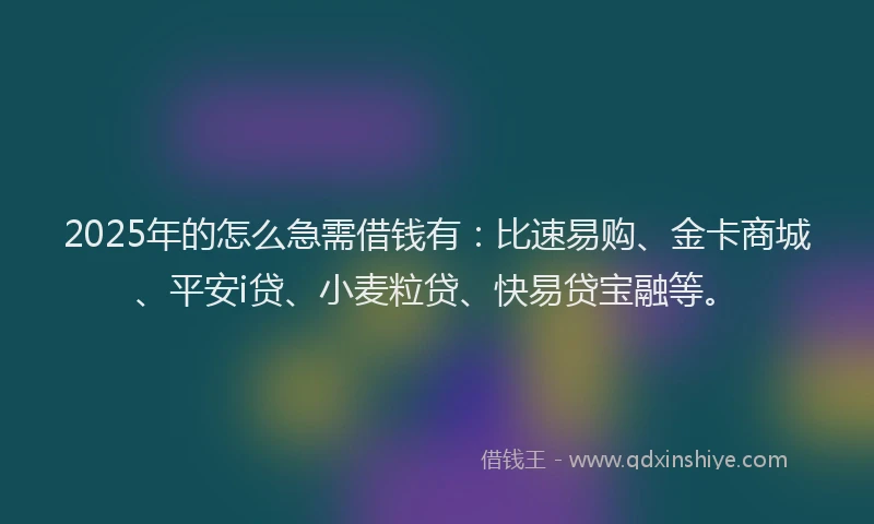 2025年的怎么急需借钱有：比速易购、金卡商城、平安i贷、小麦粒贷、快易贷宝融等。