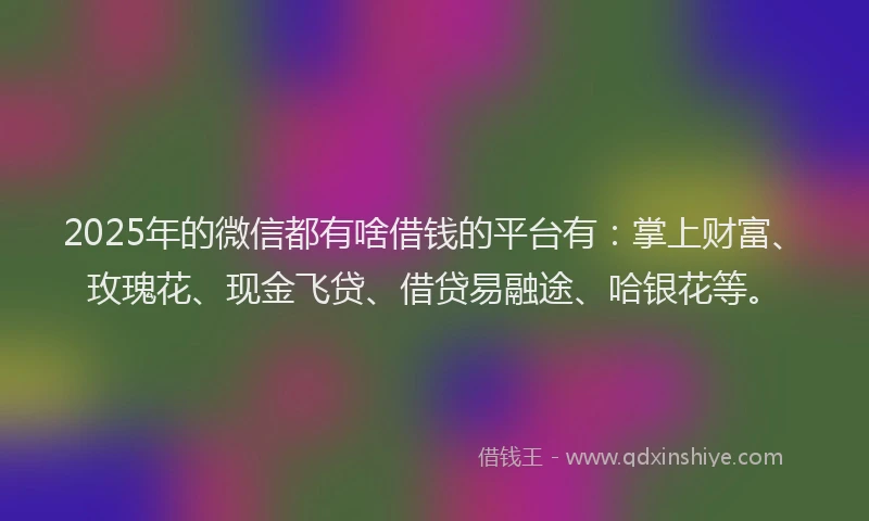 2025年的微信都有啥借钱的平台有：掌上财富、玫瑰花、现金飞贷、借贷易融途、哈银花等。