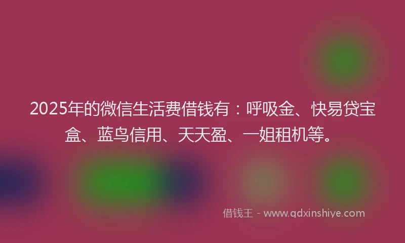 2025年的微信生活费借钱有：呼吸金、快易贷宝盒、蓝鸟信用、天天盈、一姐租机等。