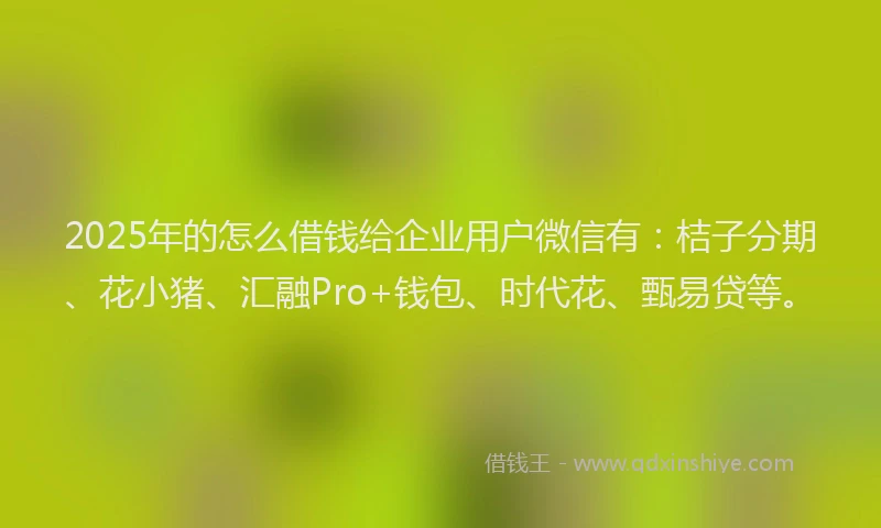 2025年的怎么借钱给企业用户微信有：桔子分期、花小猪、汇融Pro+钱包、时代花、甄易贷等。
