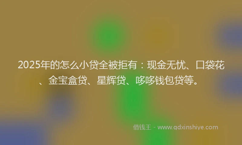 2025年的怎么小贷全被拒有：现金无忧、口袋花、金宝盒贷、星辉贷、哆哆钱包贷等。