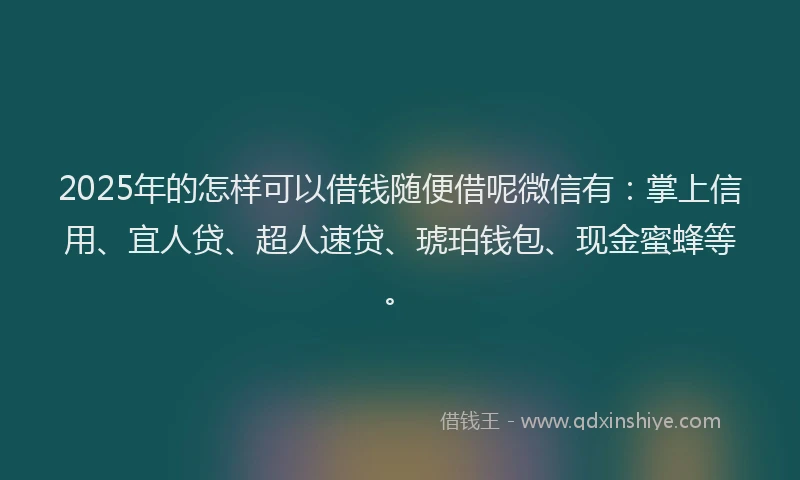 2025年的怎样可以借钱随便借呢微信有：掌上信用、宜人贷、超人速贷、琥珀钱包、现金蜜蜂等。