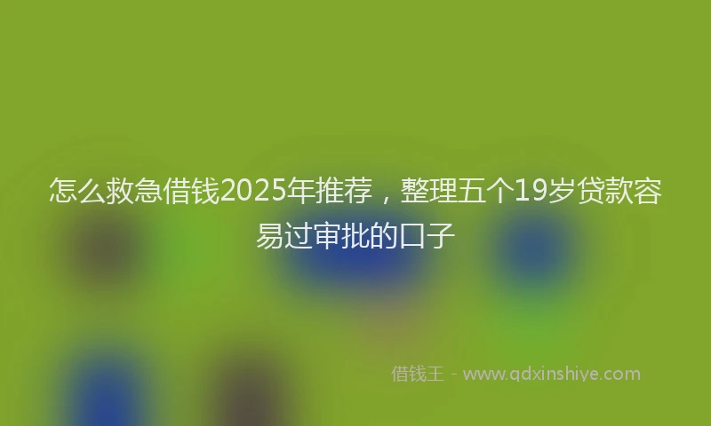 怎么救急借钱2025年推荐，整理五个19岁贷款容易过审批的口子