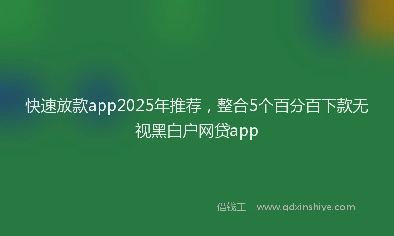 快速放款app2025年推荐，整合5个百分百下款无视黑白户网贷app