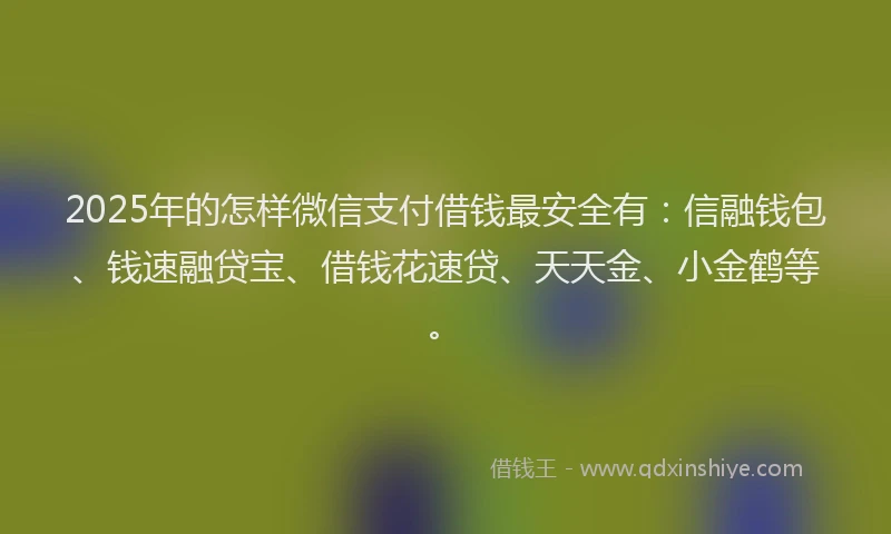 2025年的怎样微信支付借钱最安全有：信融钱包、钱速融贷宝、借钱花速贷、天天金、小金鹤等。