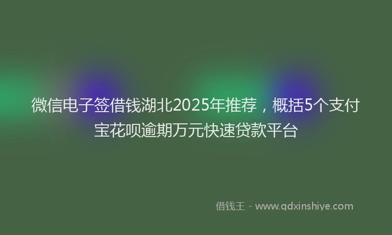 微信电子签借钱湖北2025年推荐，概括5个支付宝花呗逾期万元快速贷款平台