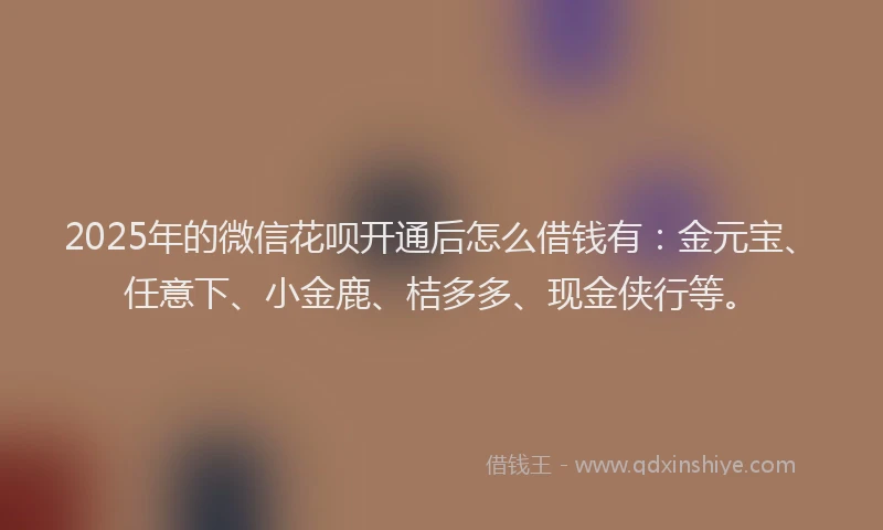 2025年的微信花呗开通后怎么借钱有：金元宝、任意下、小金鹿、桔多多、现金侠行等。