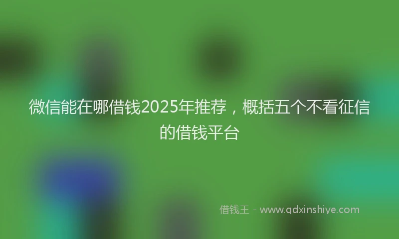 微信能在哪借钱2025年推荐，概括五个不看征信的借钱平台