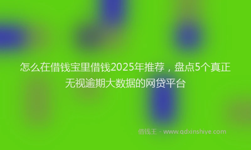怎么在借钱宝里借钱2025年推荐，盘点5个真正无视逾期大数据的网贷平台