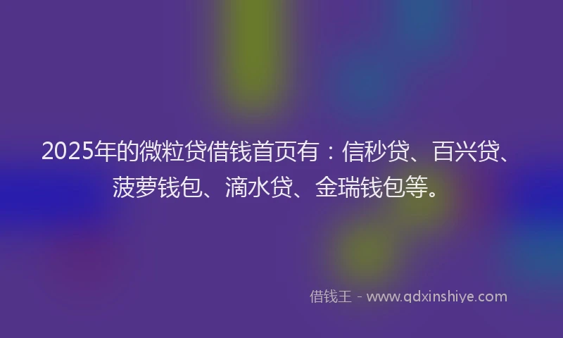 2025年的微粒贷借钱首页有：信秒贷、百兴贷、菠萝钱包、滴水贷、金瑞钱包等。