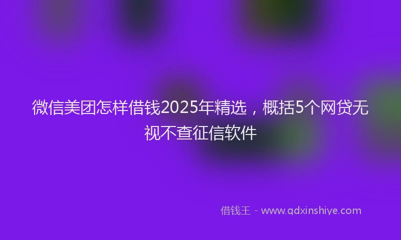 微信美团怎样借钱2025年精选，概括5个网贷无视不查征信软件