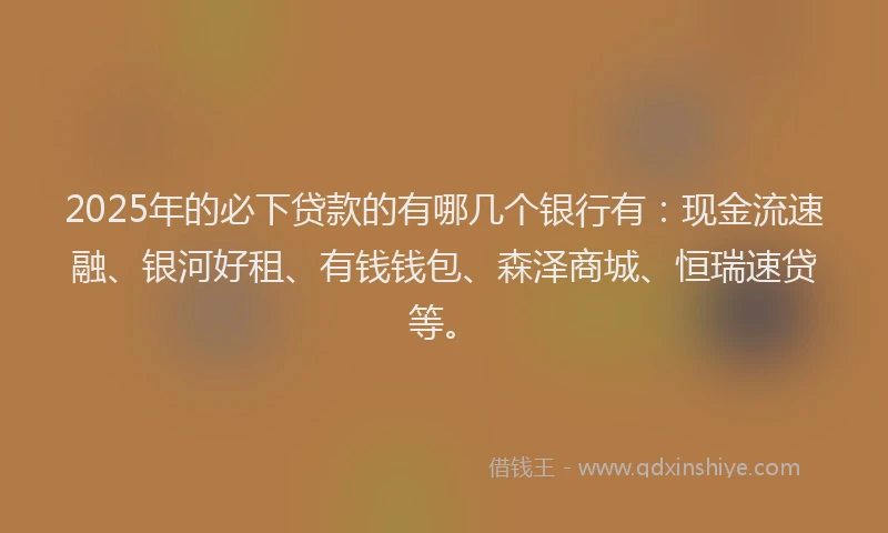 2025年的必下贷款的有哪几个银行有：现金流速融、银河好租、有钱钱包、森泽商城、恒瑞速贷等。