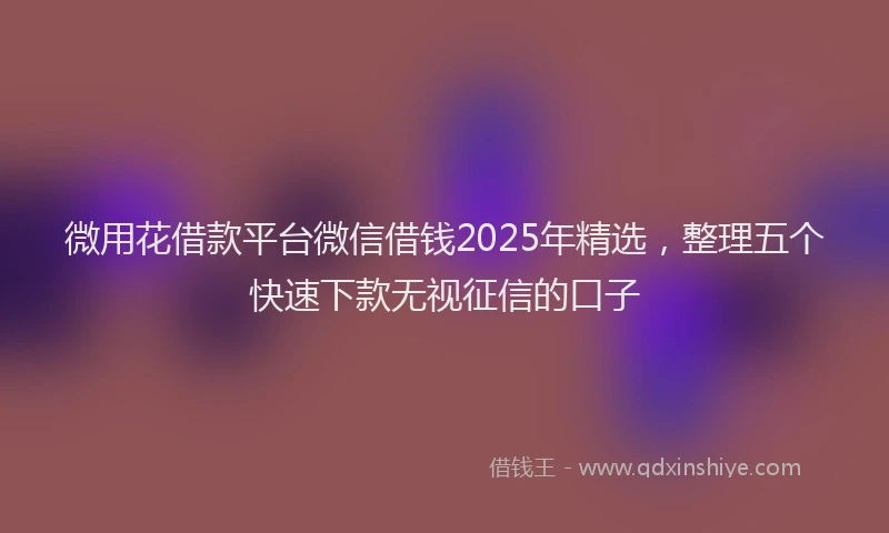 微用花借款平台微信借钱2025年精选，整理五个快速下款无视征信的口子