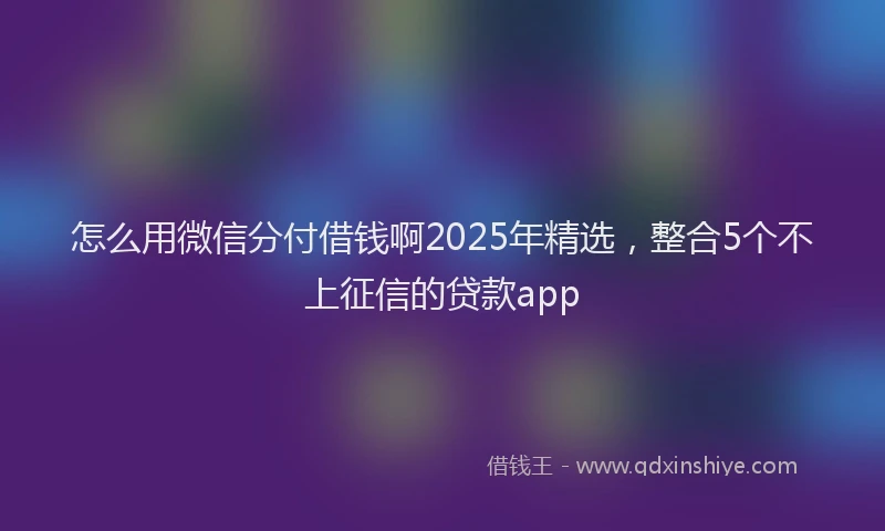 怎么用微信分付借钱啊2025年精选，整合5个不上征信的贷款app
