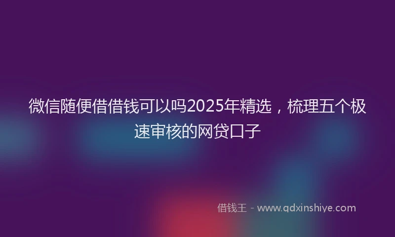 微信随便借借钱可以吗2025年精选，梳理五个极速审核的网贷口子