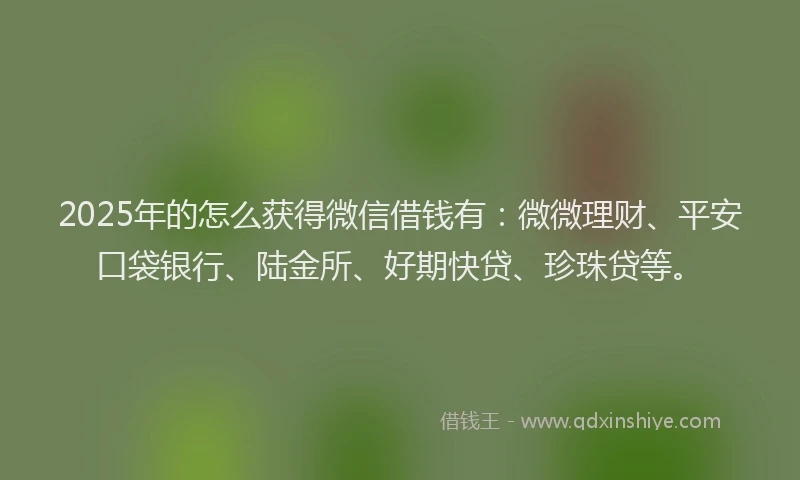 2025年的怎么获得微信借钱有：微微理财、平安口袋银行、陆金所、好期快贷、珍珠贷等。